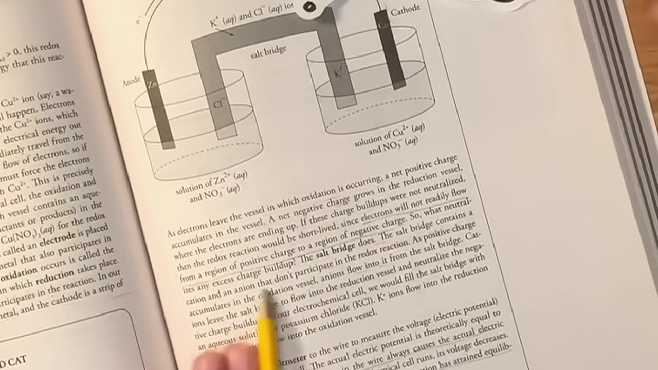 How to Get On Your Teacher’s Good Side