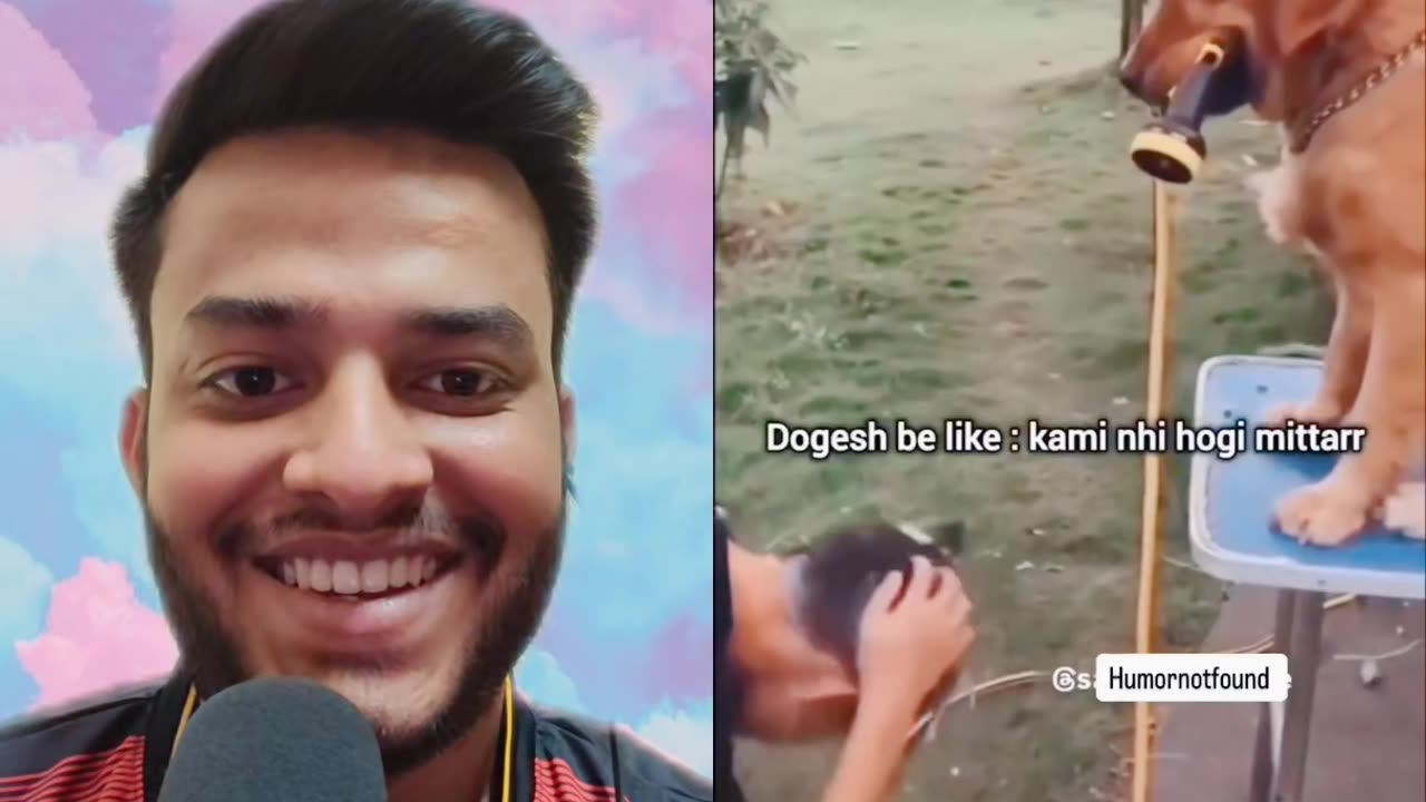 Funny dog video😂