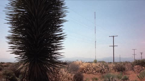 Beneath the Valley of the Ultra-Vixens (1979)