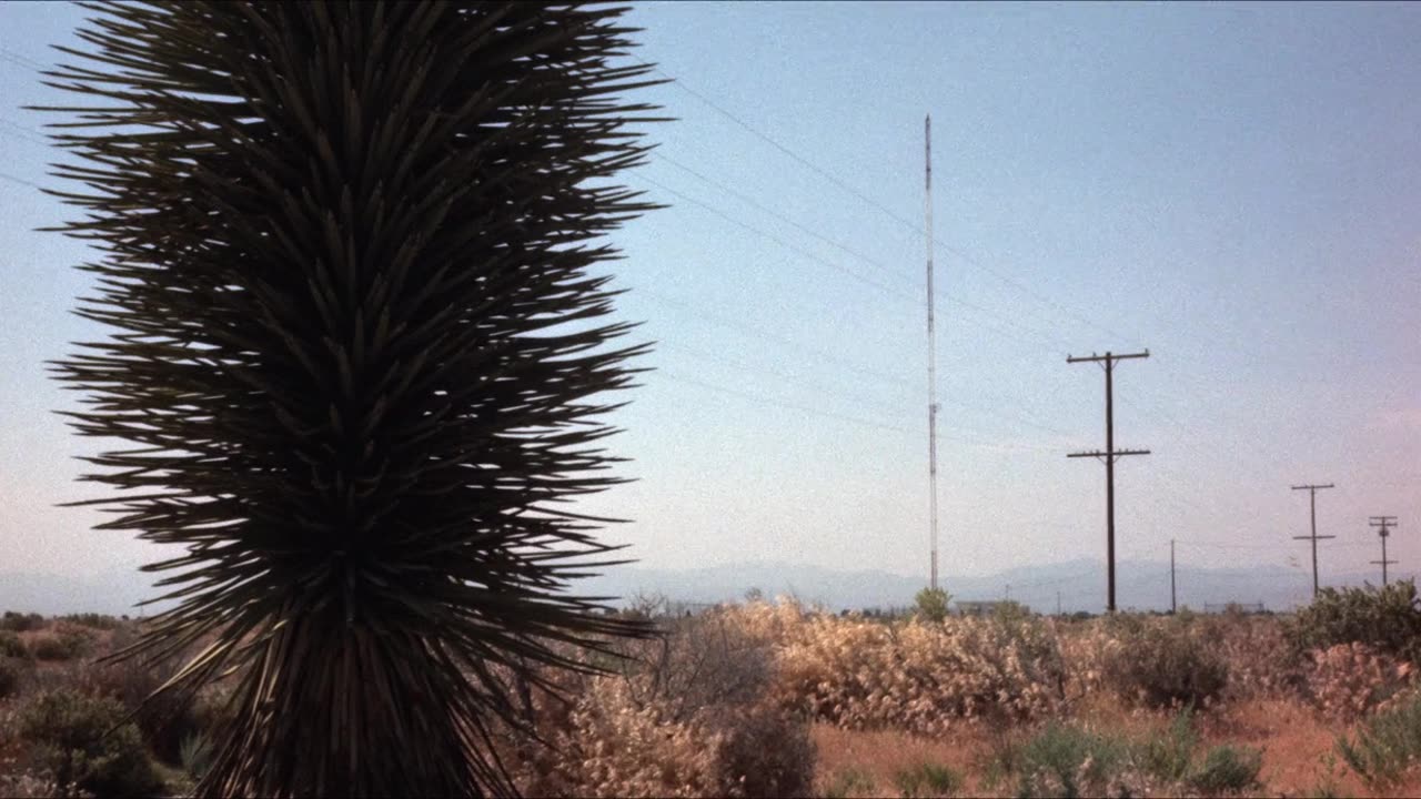 Beneath the Valley of the Ultra-Vixens (1979)