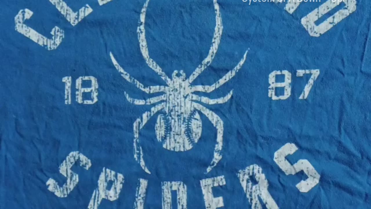 365 Days of Cleveland T-Shirts #6