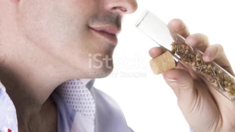 Why Perfume Ingredients Are the New Liquid Gold