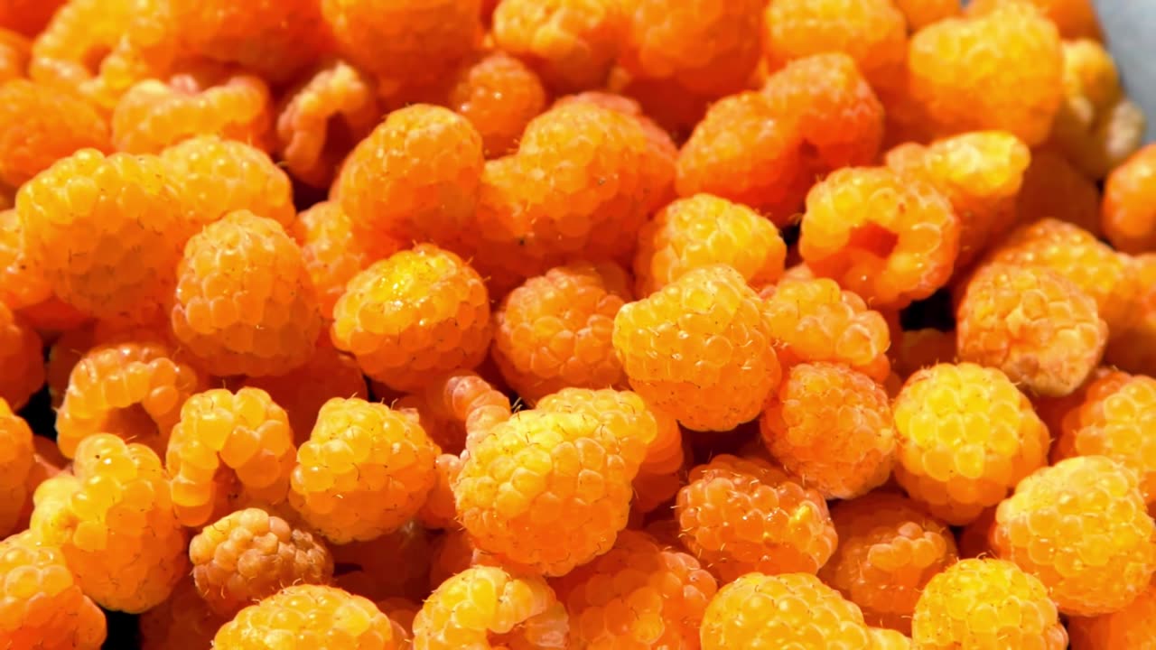 Deep Glow – Lofi House Serenity