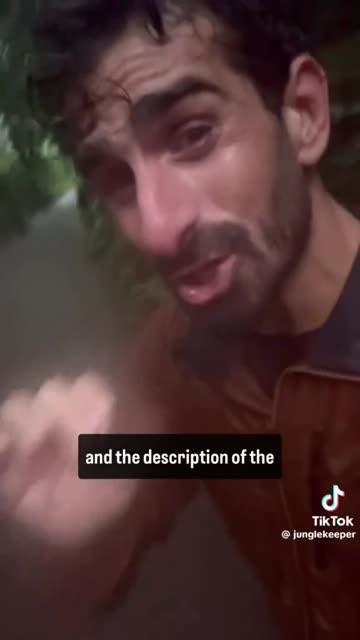 Amazon rainforest - is this the end