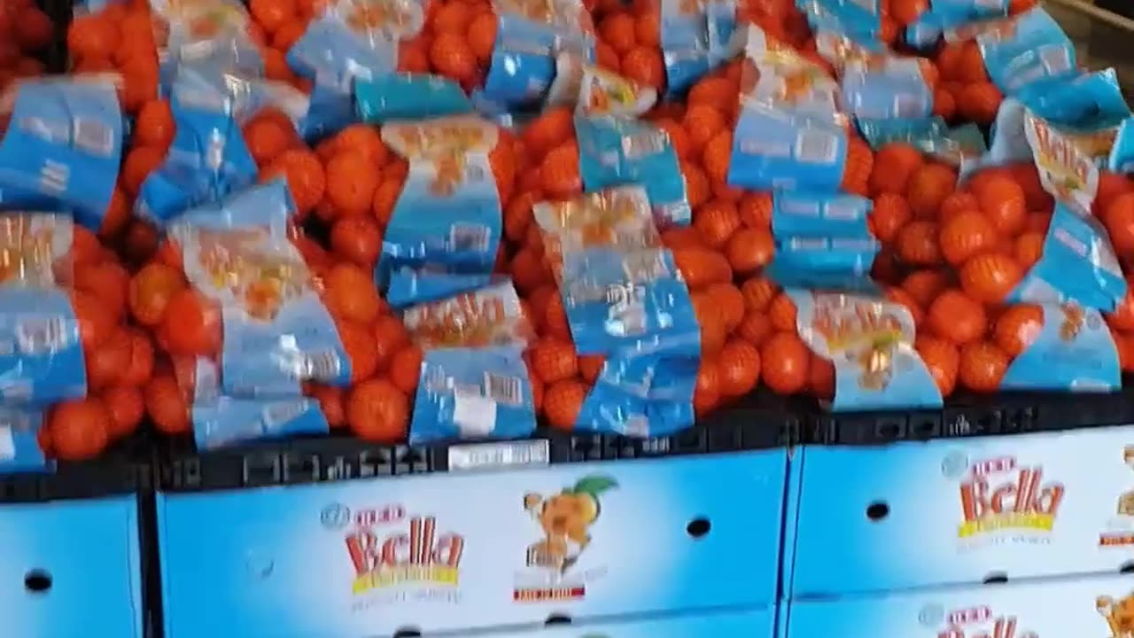 A Tour of An H-E-B Grocery Store in the Woodlands, TX 🛒