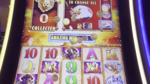 Free Games on #BuffaloGold 💥🎰💵
