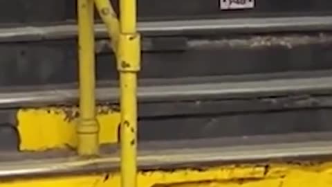 💥🤯 You Won't Believe the NYC Subway Rat Fight! | FunFM