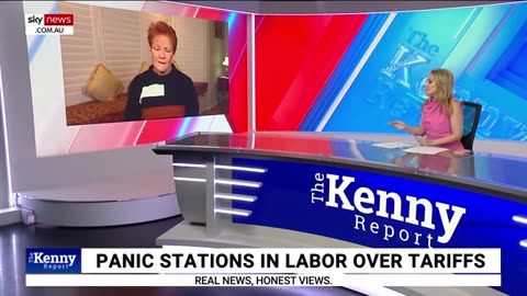 Hell of a cost': Pauline Hanson on Donald Trump's new 200 per cent tariff threat