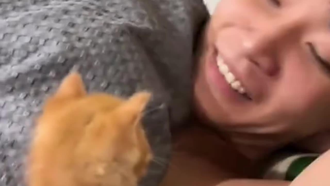 ROUGHHOUSING 😸SUNDAY 11/2/25