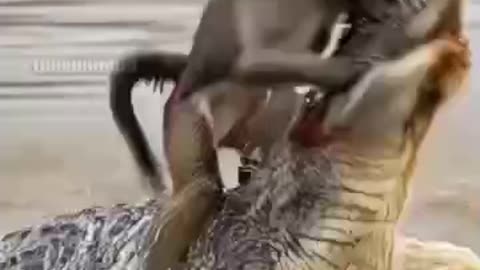 Disagreement