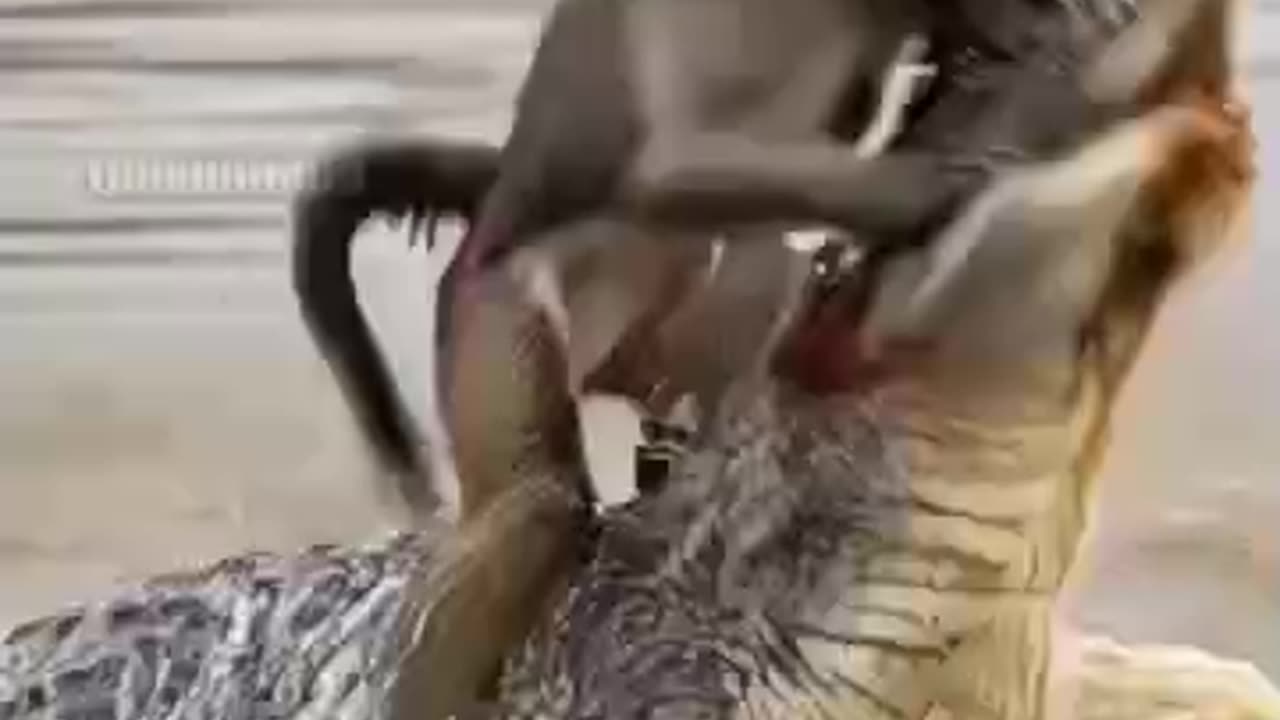Disagreement