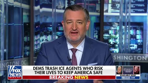 DEMOCRATS ARE PARTY THAT EMBRACES VIOLENCE