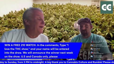The THC show with Glenn Wells