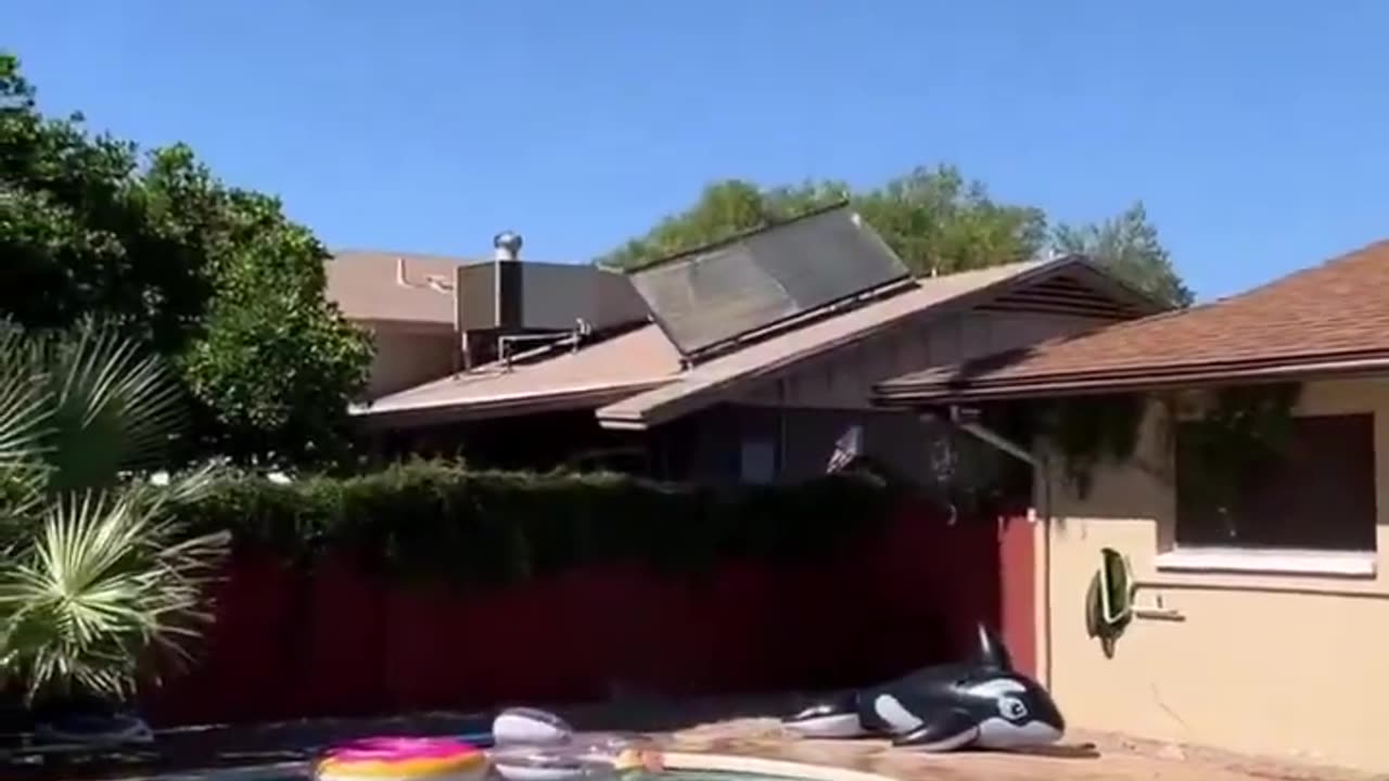 Brutal