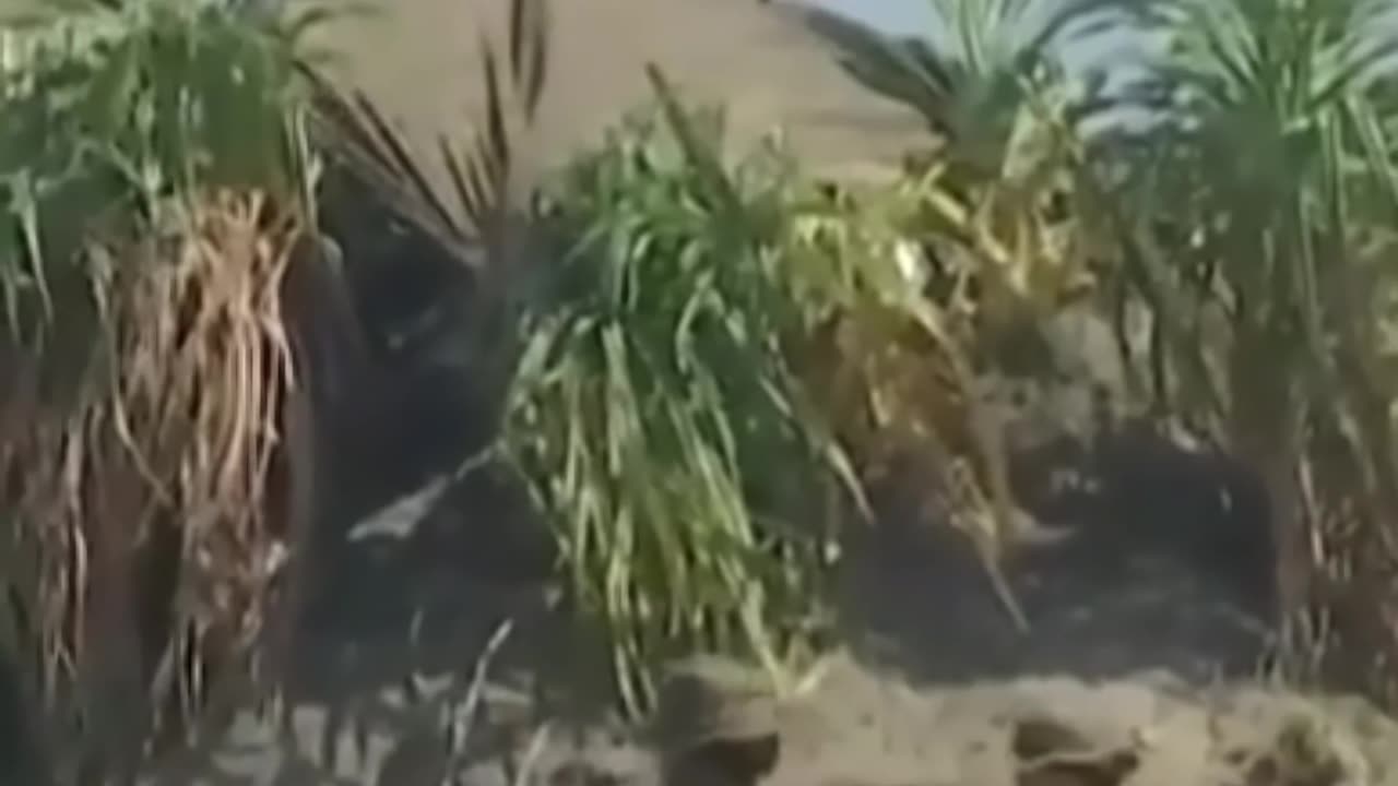 Philippine Air Force in Action! During Balikatan