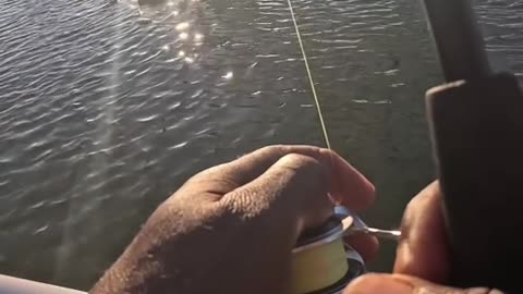 This Spot Should Be Illegal!