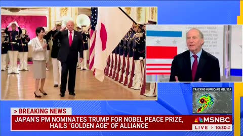 'Could Not Have Gone Better': MSNBC Guest Praises Trump's Trip To Japan