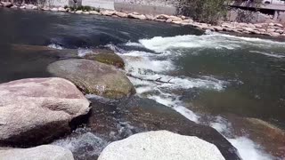 Truckee River | Flow of Life, Personal Journey, and Transformation | #short