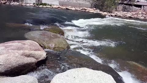 Truckee River | Flow of Life, Personal Journey, and Transformation | #short