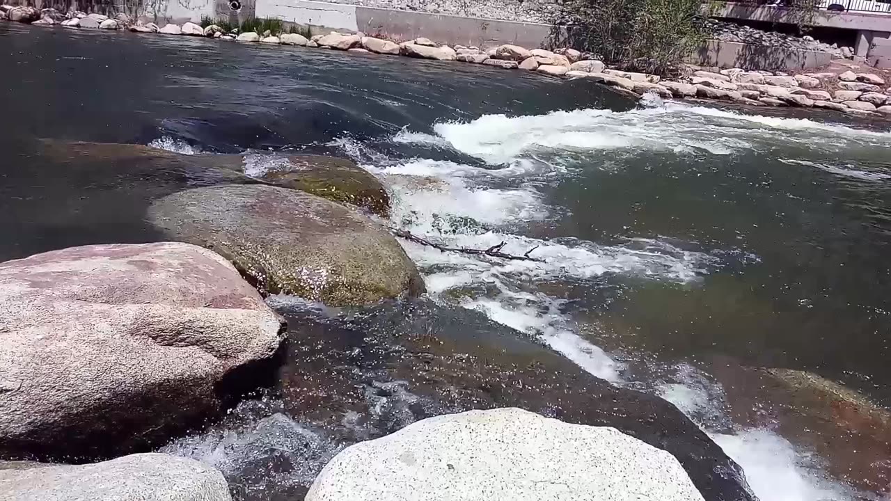 Truckee River | Flow of Life, Personal Journey, and Transformation | #short