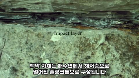 지구 대량 멸절 - 피터 워드