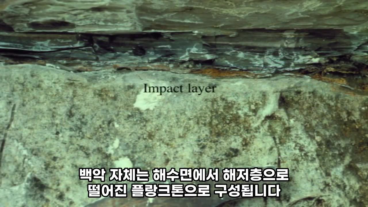 지구 대량 멸절 - 피터 워드