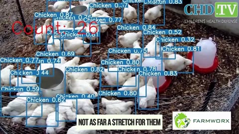 Family farmers are being crushed.