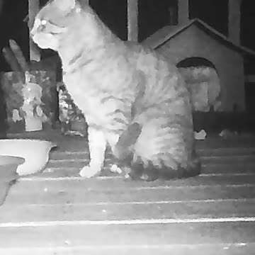 EA S178 - Bathing Bright Eyes