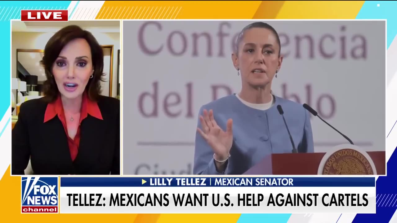 ‘NARCO STATE’ MEXICAN SENATOR WARNS THAT CARTELS HAVE 'INFESTED' THE COUNTRY