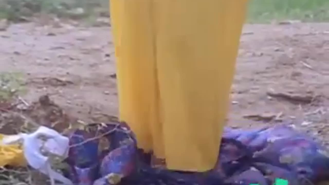 South Indian Actress