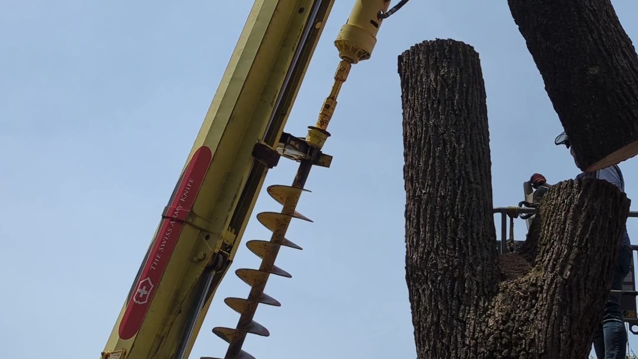 Tree Removal Rig, Cut and Lift