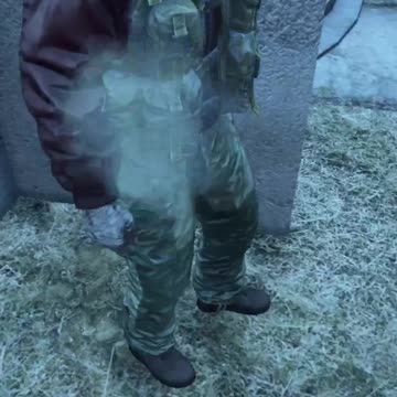 The Mario Of DayZ