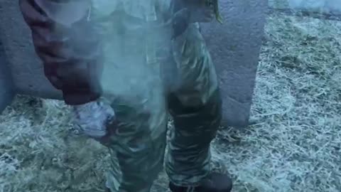 The Mario Of DayZ