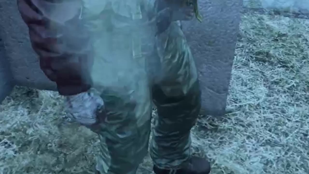 The Mario Of DayZ