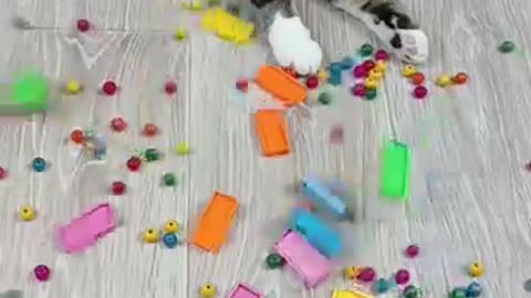 Cat Barsik breads