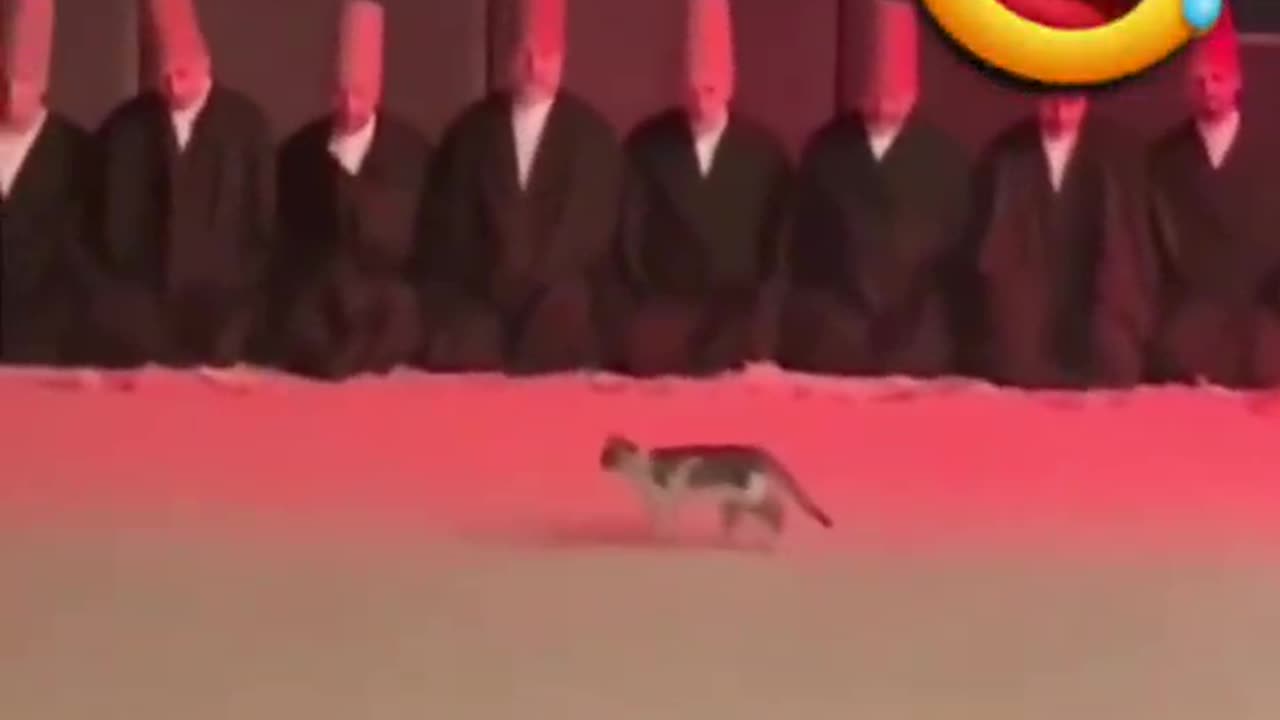 wonders of the world