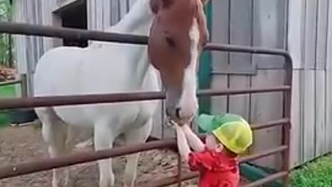 Pure Love Between Children and Horses