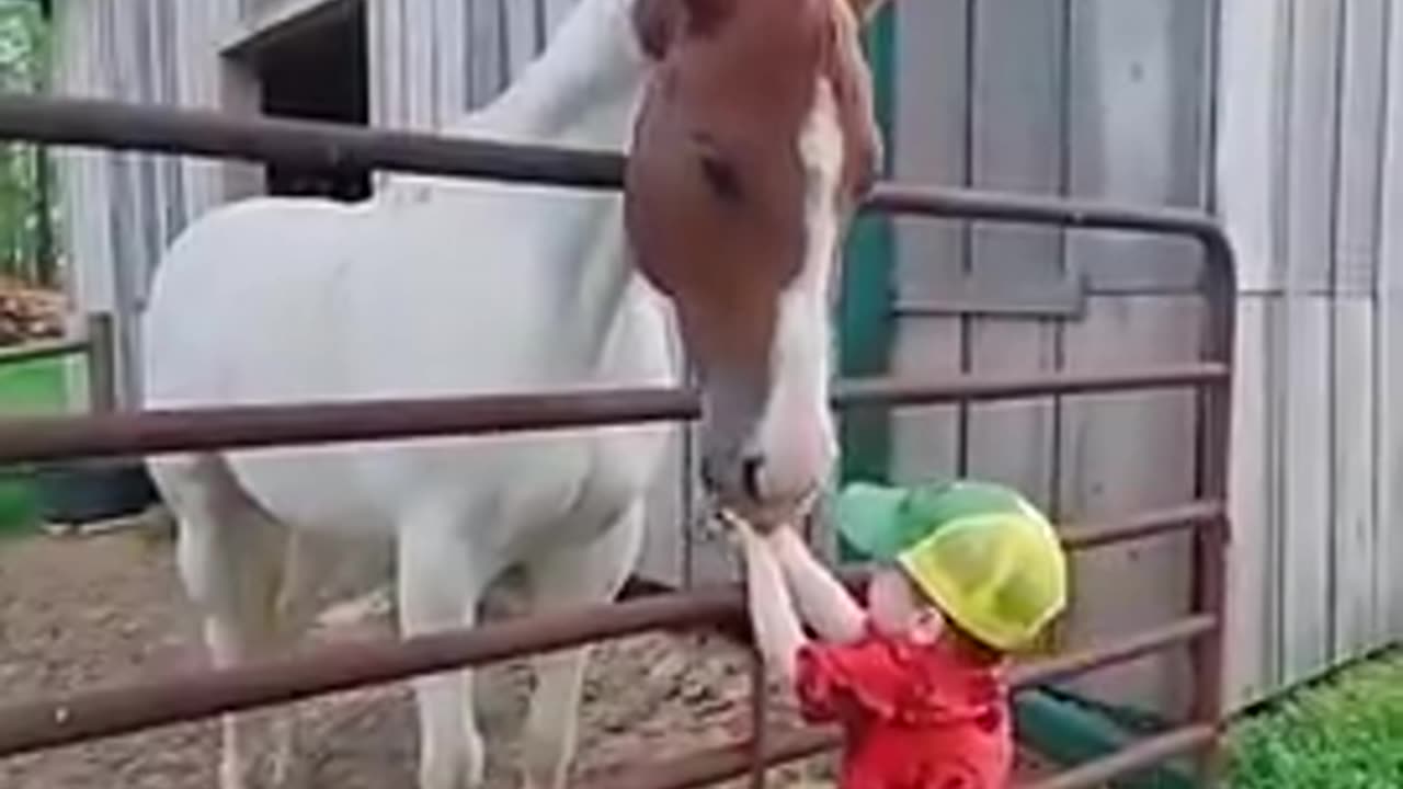 Pure Love Between Children and Horses