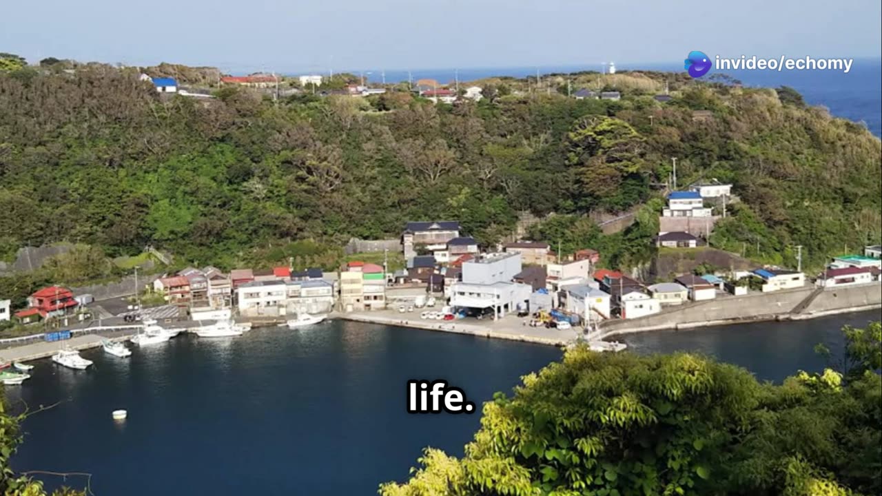 Japan’s Hidden Gems: Life on Remote Islands #travel #explore #history