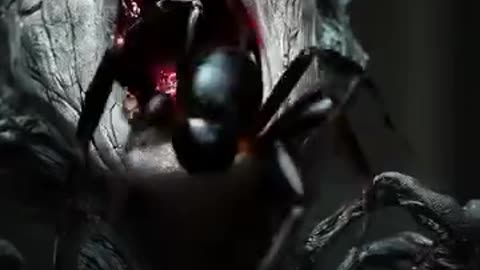 The Spider Eater