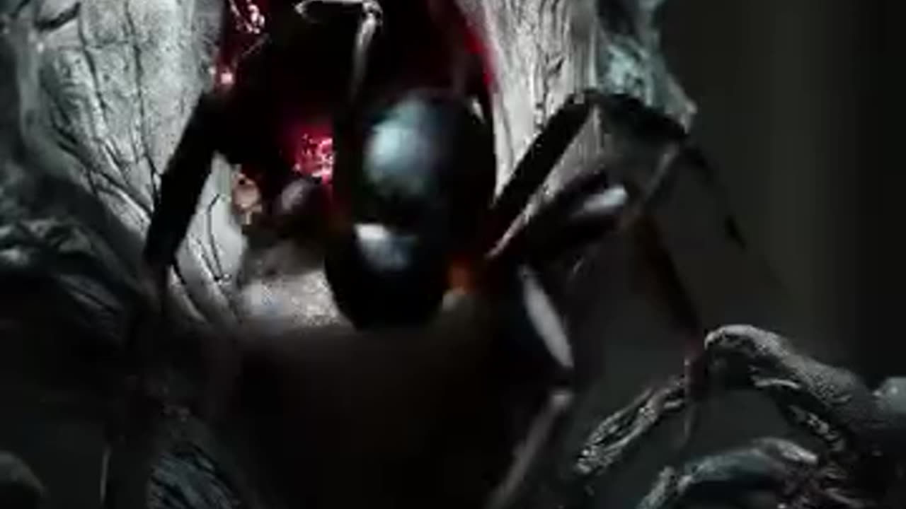 The Spider Eater