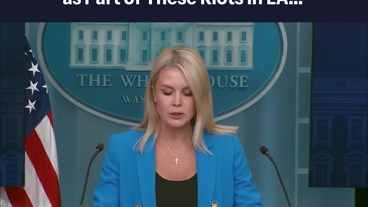 Press Sec ‘There Have Been 330 Illegal Aliens That Have Been Arrested as Part of These Riots in LA