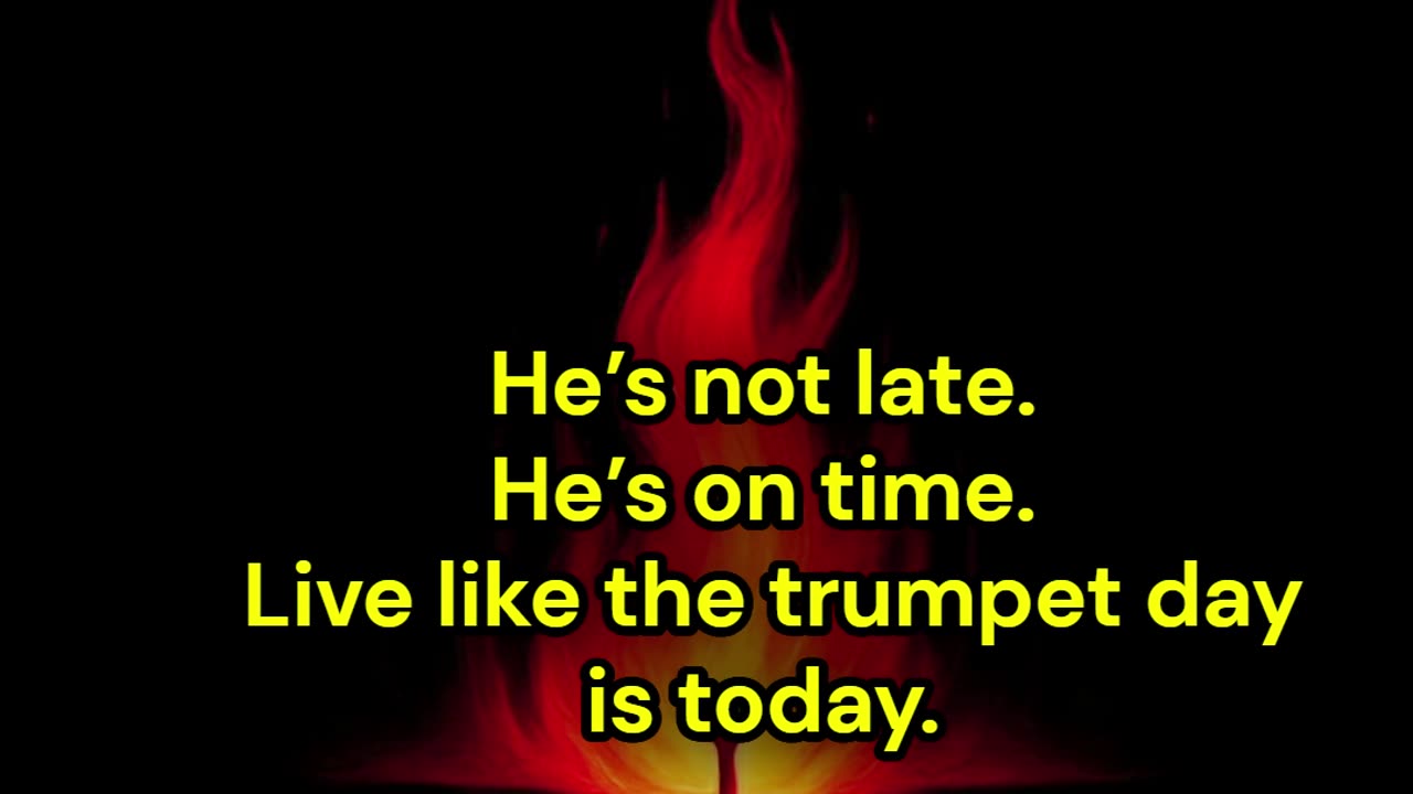 The King is coming — live ready