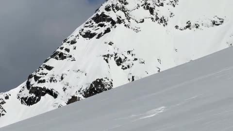 Daily Horoscope | Scorpio 🌟