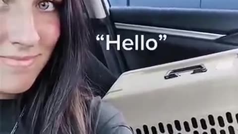 Must Watch: English speaking cats #funny #funnycats #funnyanimals