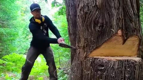 Try Hard Until Done – Lofi Boost