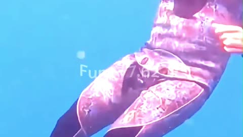 No One Expected- What This Grateful Turtle Did Next? 🐢❤️