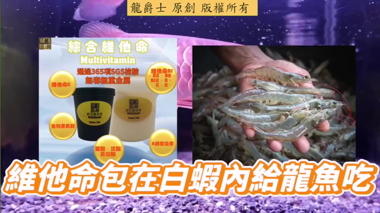 【龍爵士】維他命對魚缸的影響