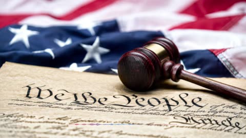 What is the Bill of Rights and the Constitution ?