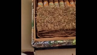 Sarge's Smoke Break #40: Unboxing Cigar Order From Cigar Page On 19 August 2025